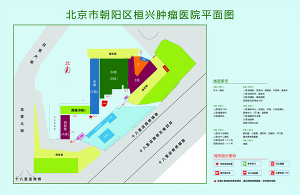 把阴茎伸到saobi里北京市朝阳区桓兴肿瘤医院平面图